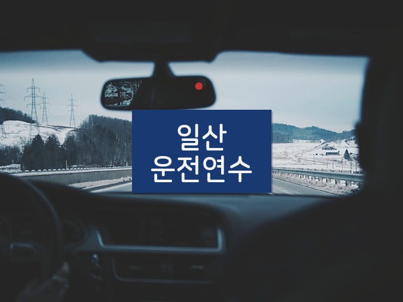 일산운전연수 후기