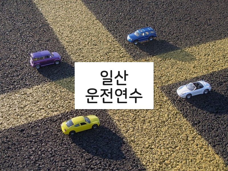 일산운전연수 후기