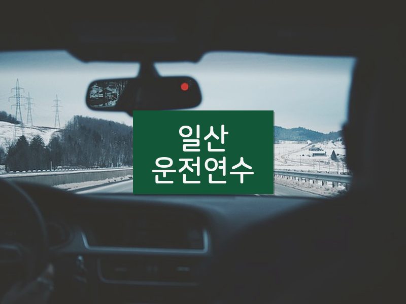 일산운전연수 후기