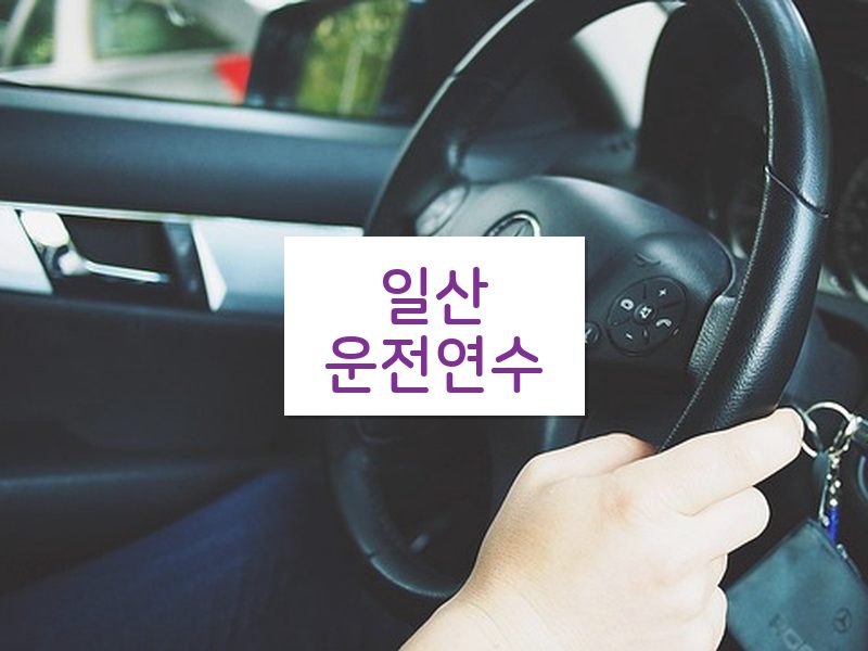 일산운전연수 후기