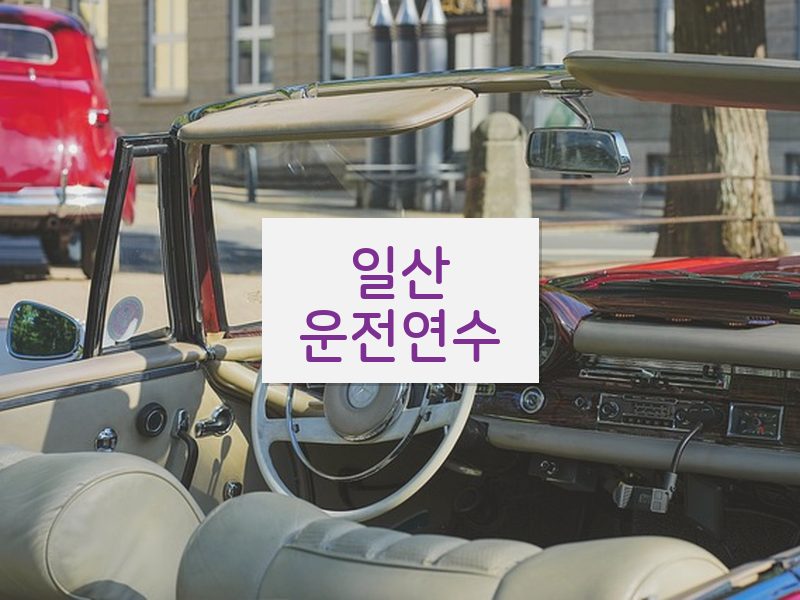 일산운전연수 후기