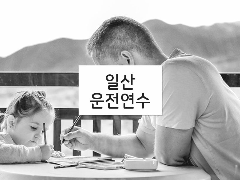 일산운전연수 후기