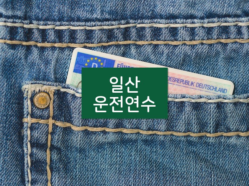 일산운전연수 후기