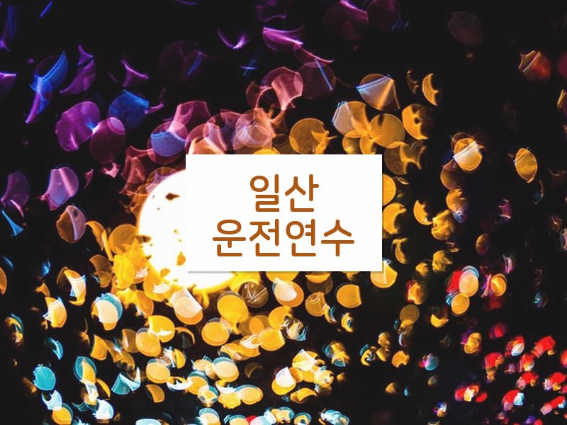 일산운전연수 후기