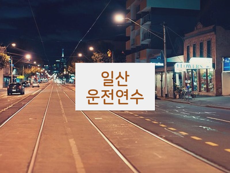 일산운전연수 후기