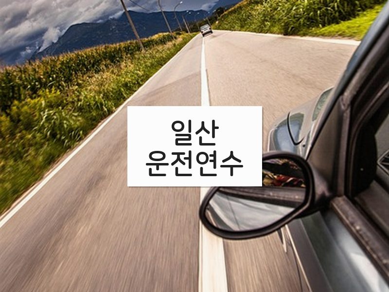 일산운전연수 후기