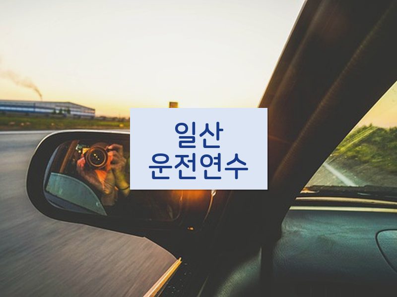 일산운전연수 후기