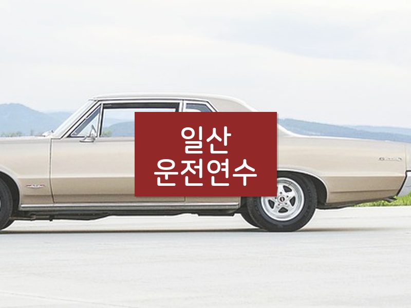 일산운전연수 후기