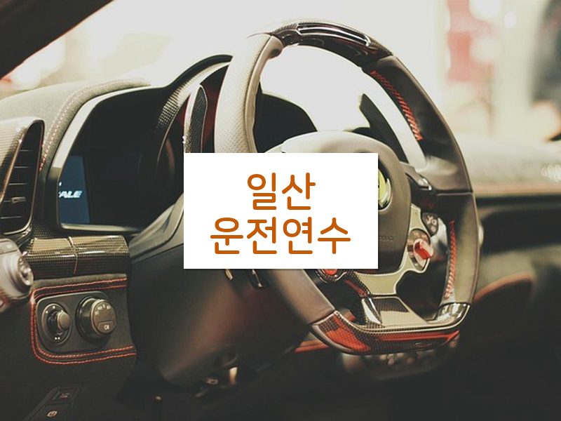 일산운전연수 후기