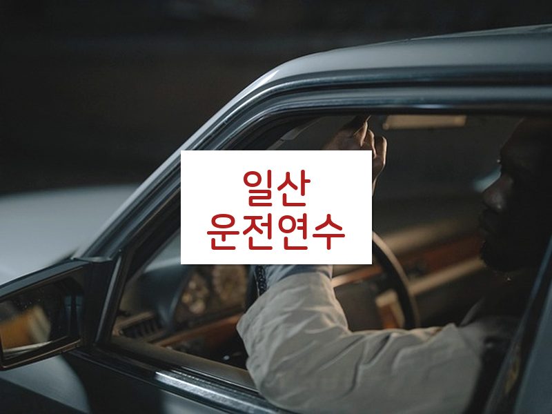 일산운전연수 후기