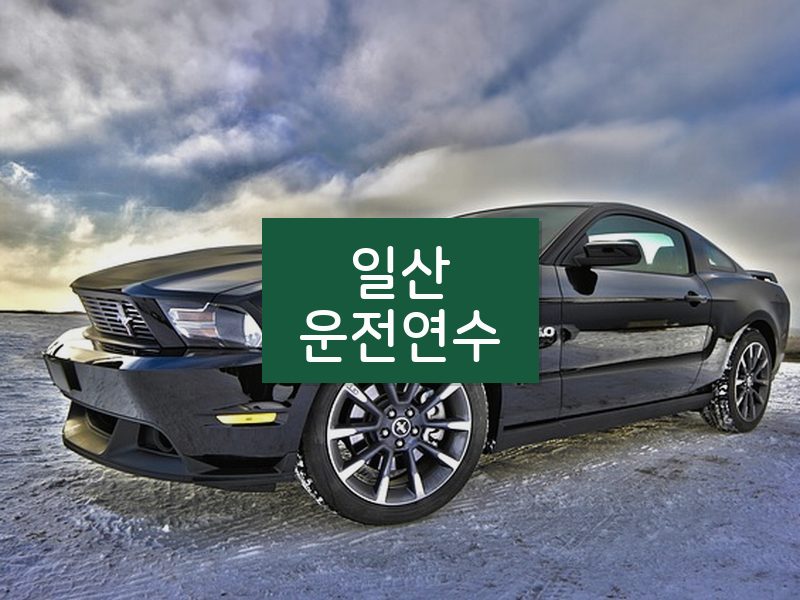 일산운전연수 후기