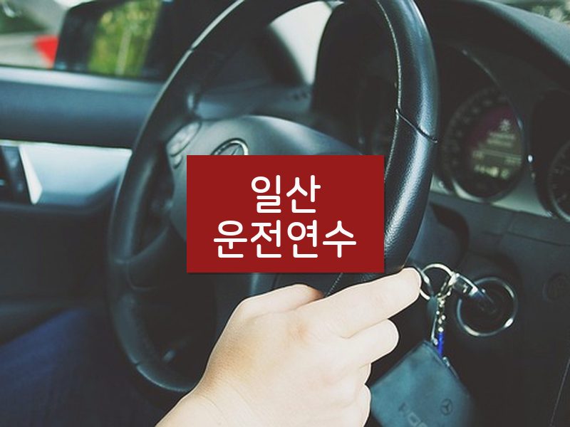 일산운전연수 후기