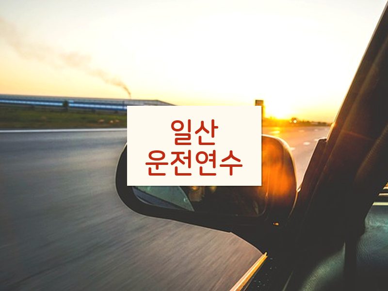 일산운전연수 후기