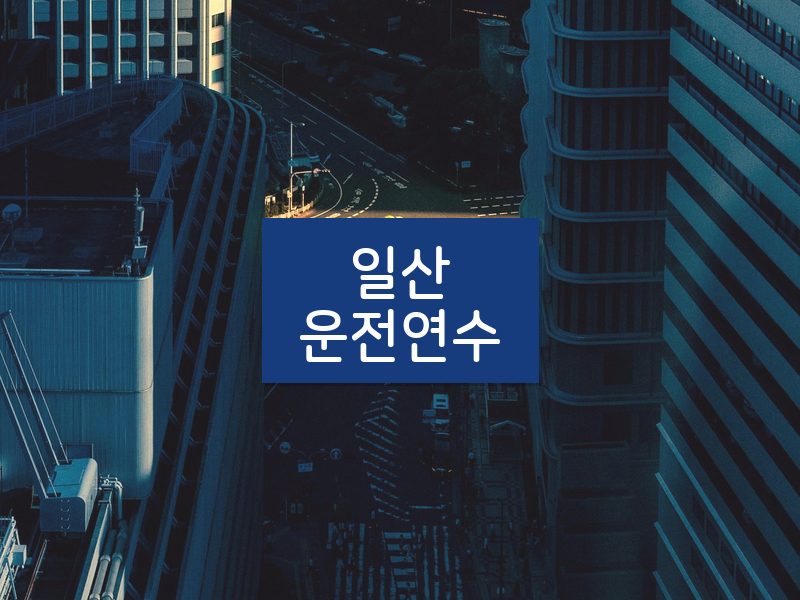 일산운전연수 후기