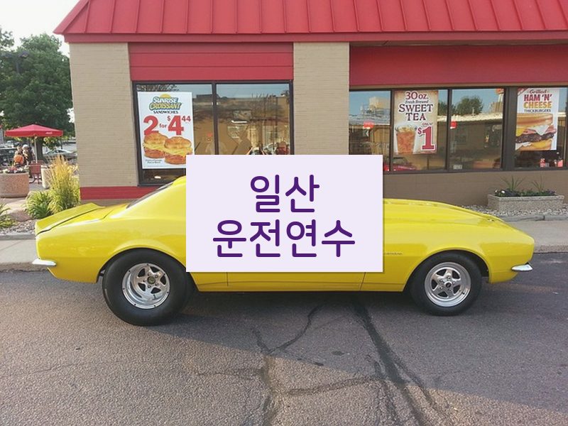 일산운전연수 후기