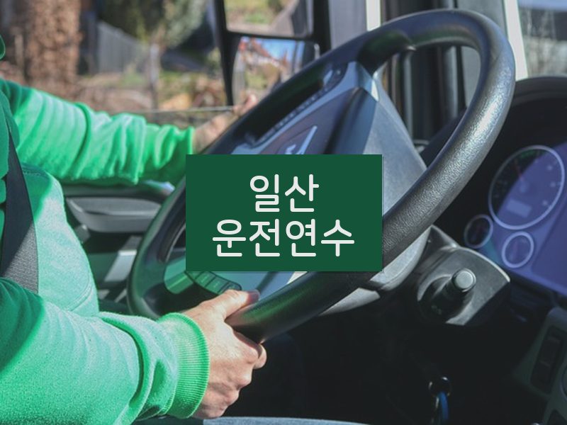 일산운전연수 후기
