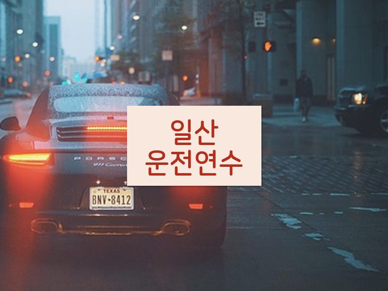 일산운전연수 후기