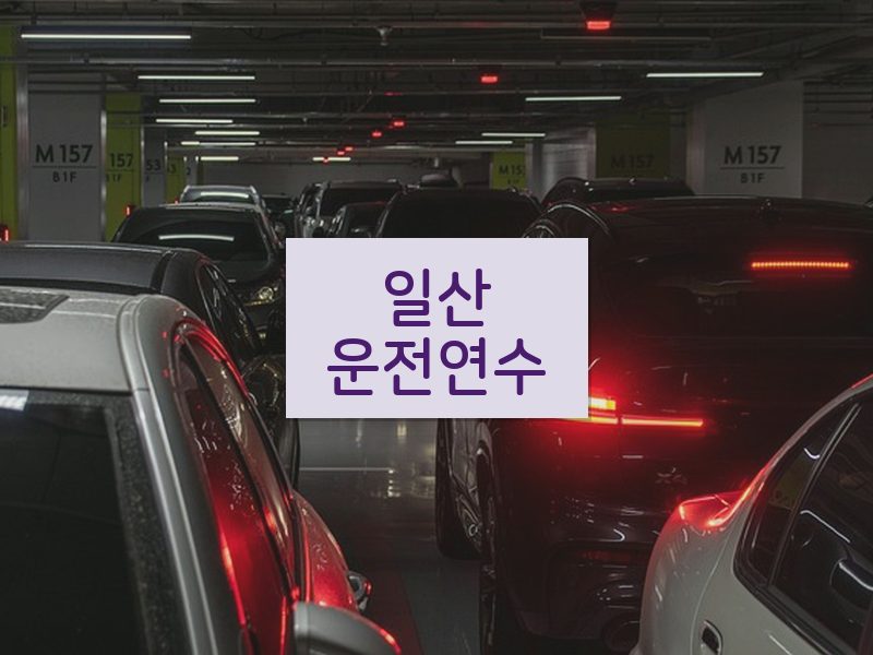 일산운전연수 후기