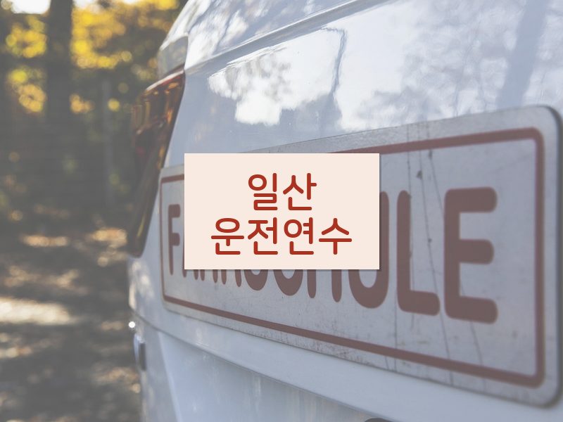일산운전연수 후기