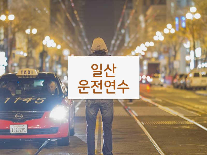일산운전연수 후기