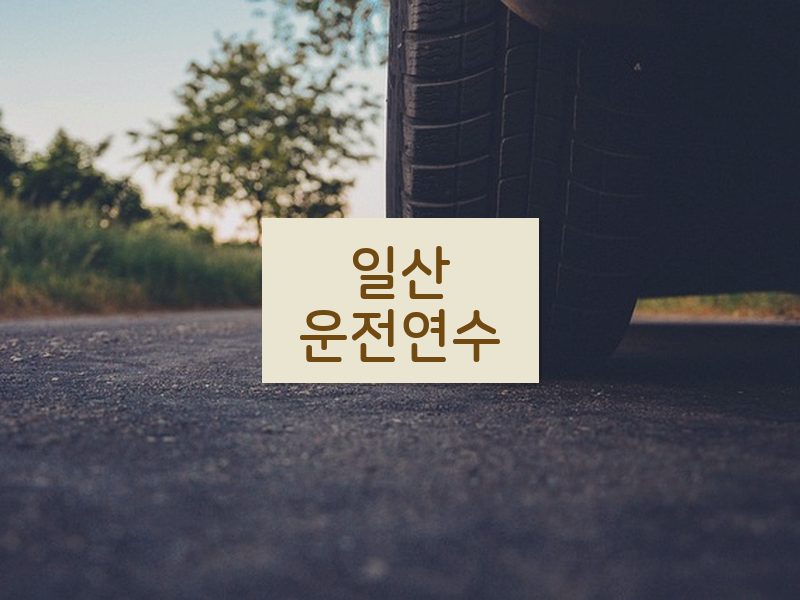 일산운전연수 후기