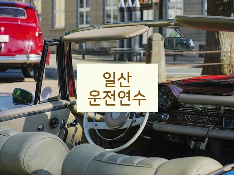 일산운전연수 후기