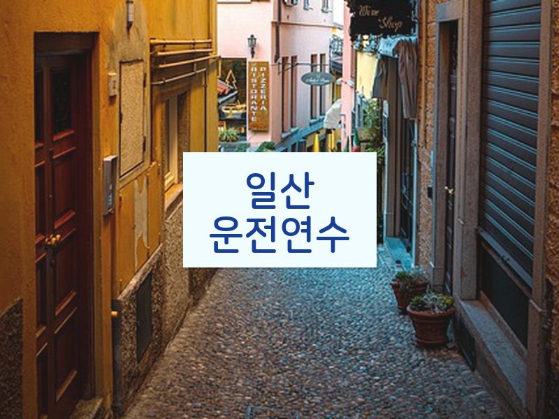 일산운전연수 후기