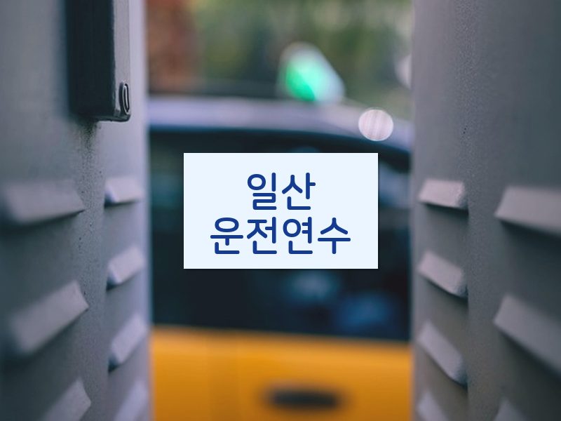 일산운전연수 후기