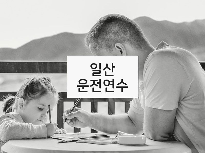 일산운전연수 후기