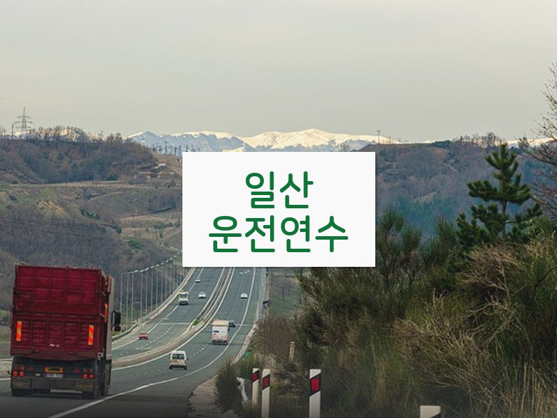 일산운전연수 후기