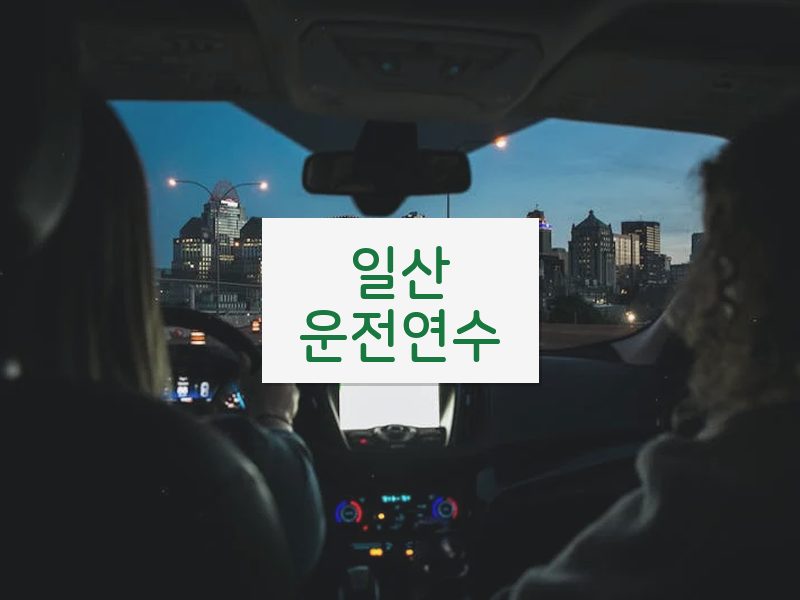 일산운전연수 후기