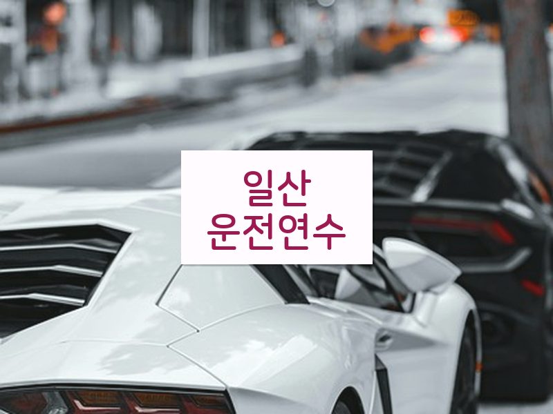 일산운전연수 후기