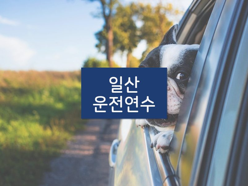 일산운전연수 후기