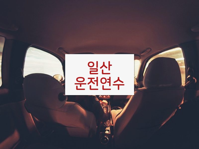 일산운전연수 후기