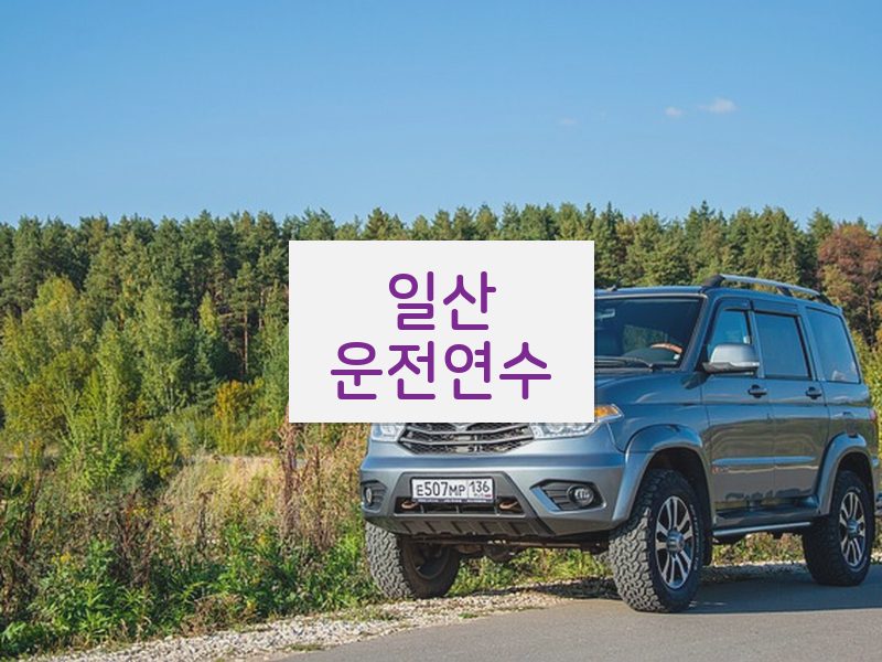 일산운전연수 후기