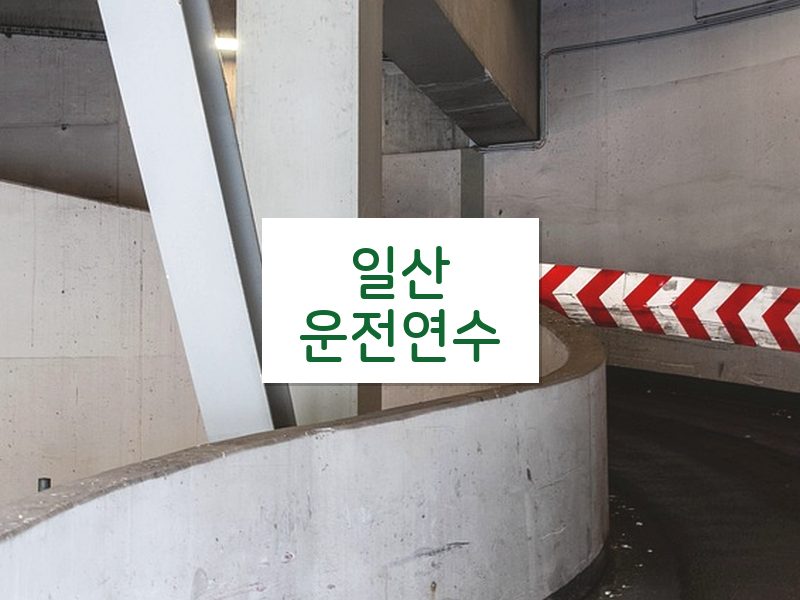 일산운전연수 후기