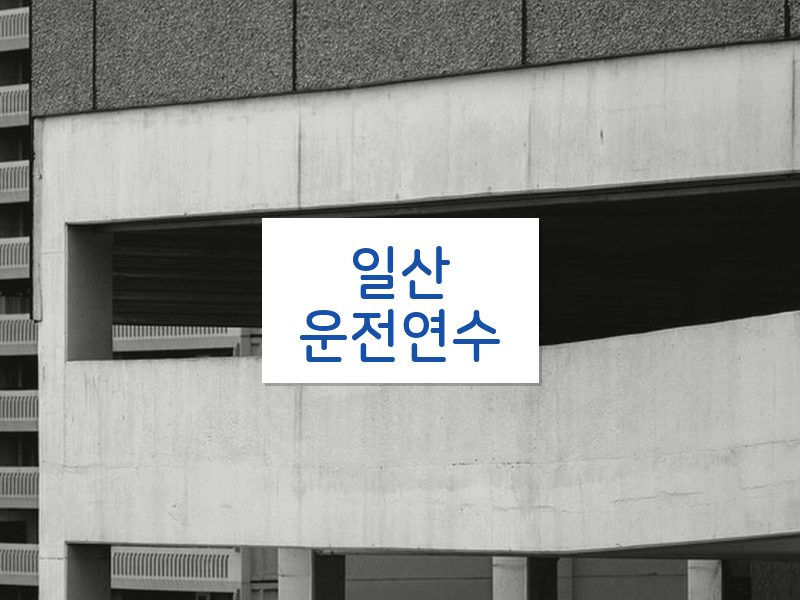 일산운전연수 후기