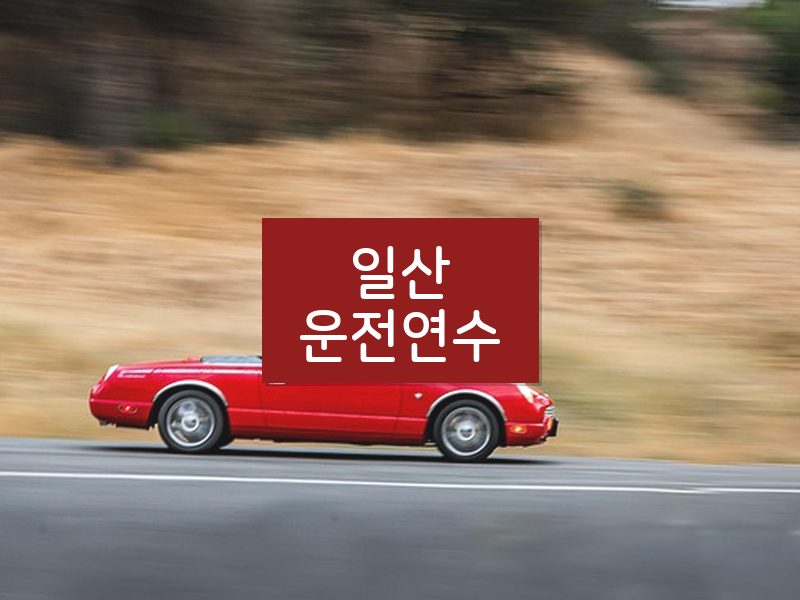 일산운전연수 후기