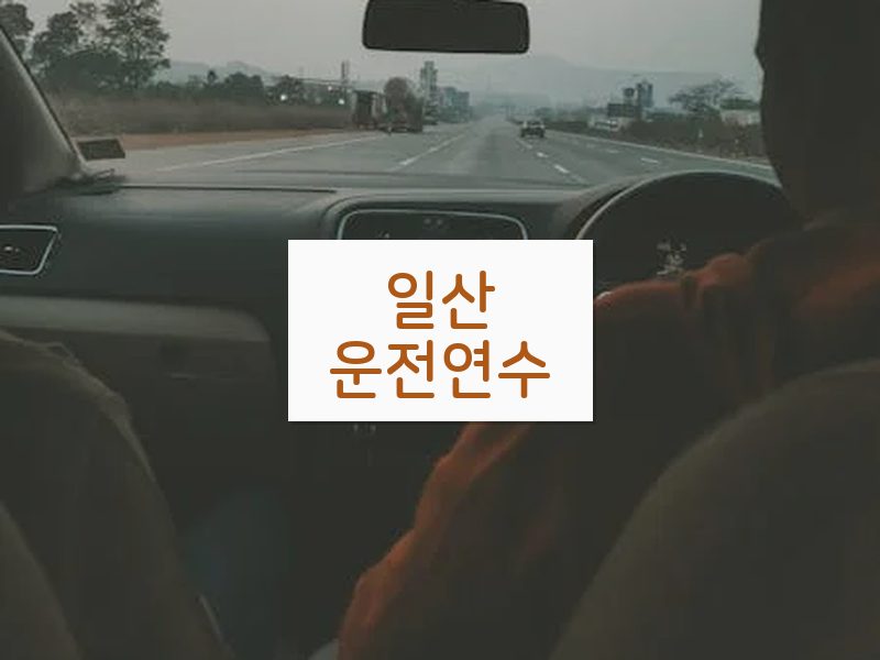 일산운전연수 후기