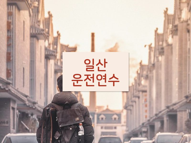 일산운전연수 후기