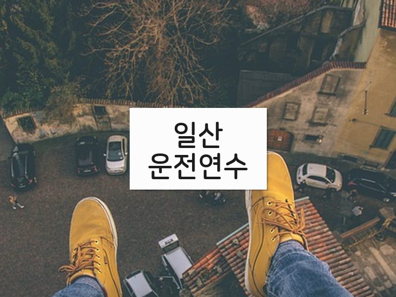 일산운전연수 후기