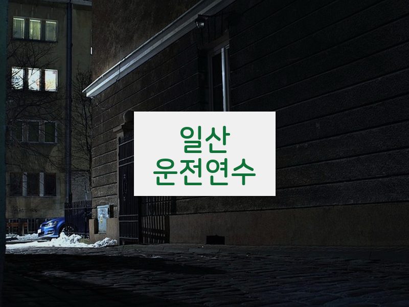 일산운전연수 후기