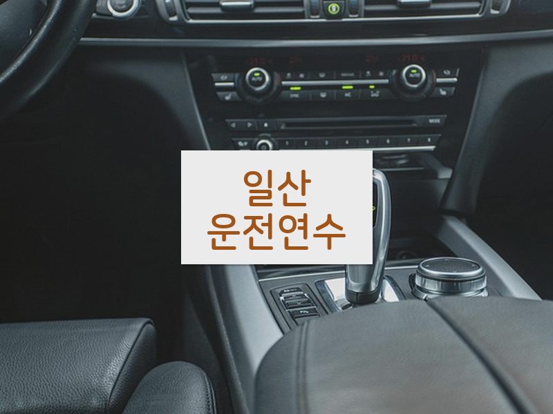 일산운전연수 후기