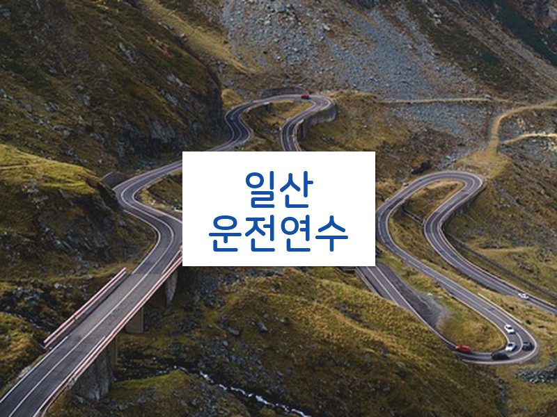 일산운전연수 후기