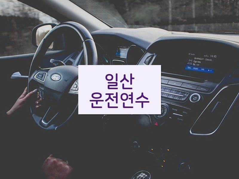 일산운전연수 후기