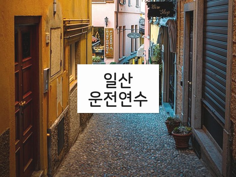 일산운전연수 후기