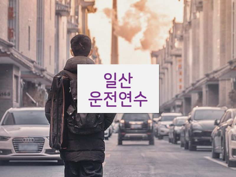 일산운전연수 후기