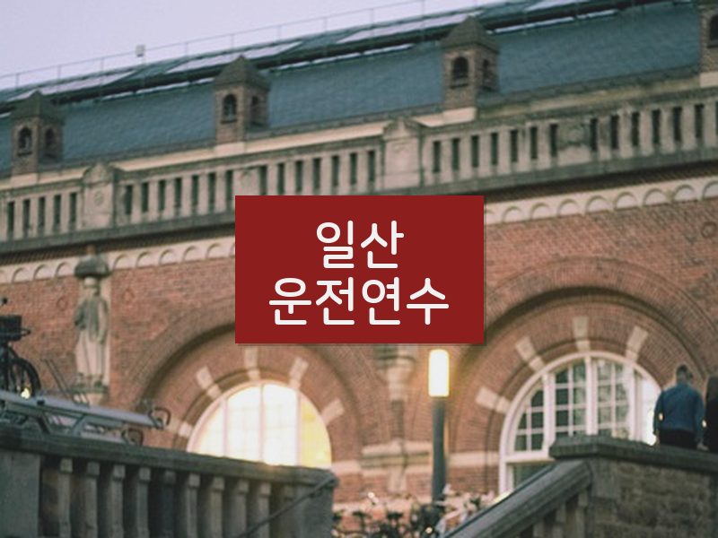 일산운전연수 후기