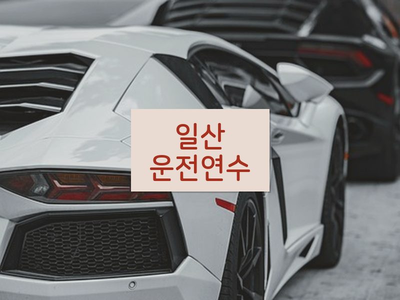 일산운전연수 후기