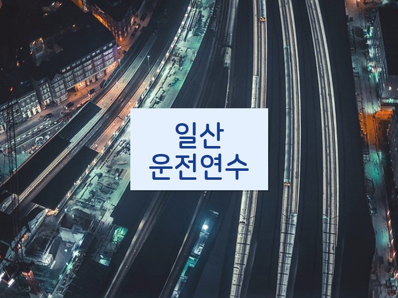 일산운전연수 후기